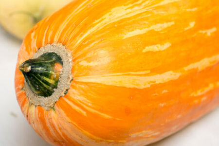 Gete-okosomin: A Really Cool Old Squash Image